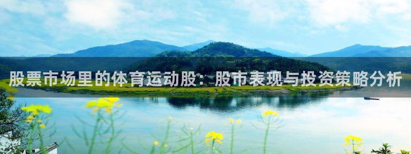 欧亿体育官方正版app集团E.ON：股票市场里的体育