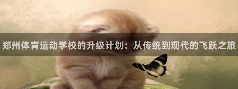 oety欧亿体育官网下载注册：郑州体育运动学校的升级计划：从
