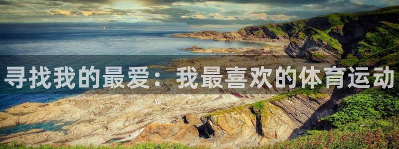 欧亿体育官方正版app代理