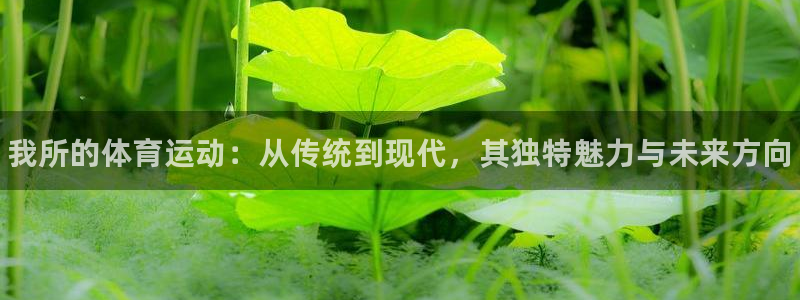 oety欧亿体育官网下载招商电话：我所的体育运动：从传统到现
