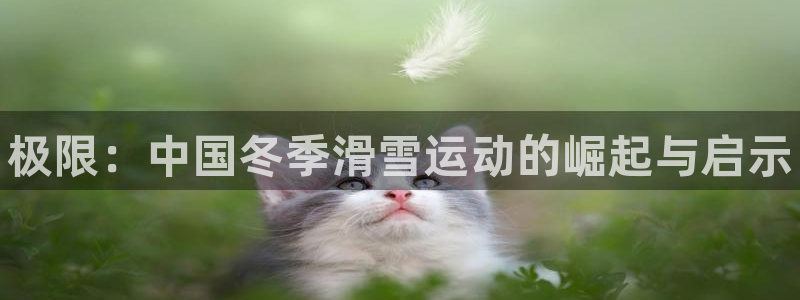 oety欧亿体育官网下载平台注册流程视频：极限：中国冬季滑雪