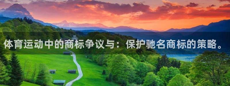 海南oety欧亿体育官网下载：体育运动中的商标争议与