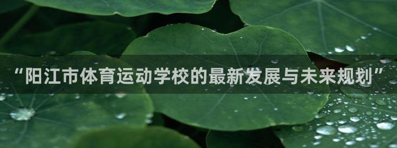 欧亿体育官方正版app集团E.ON：“阳江市体育运动学校的最