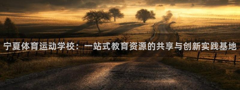 欧亿体育官方正版app新能源：宁夏体育运动学校：一站式教育资