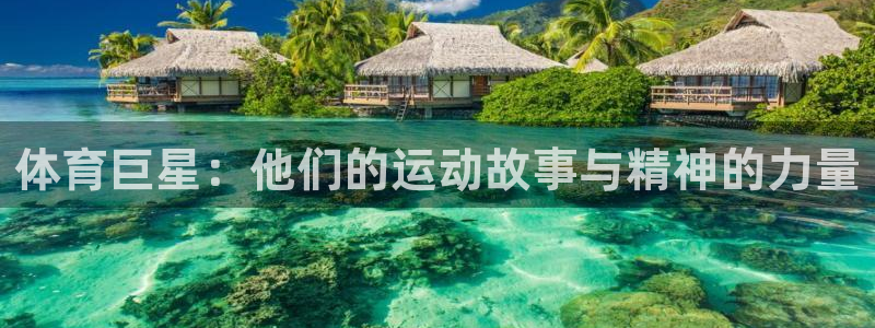 oety欧亿体育官网下载开户：体育巨星：他们的运动故