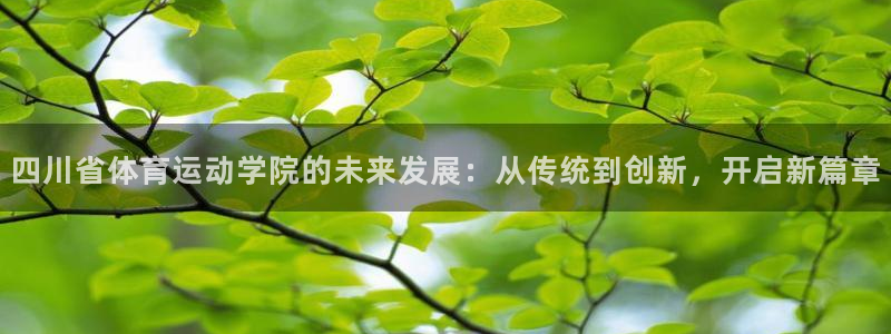 oety欧亿体育官网下载平台注册流程图：四川省体育运