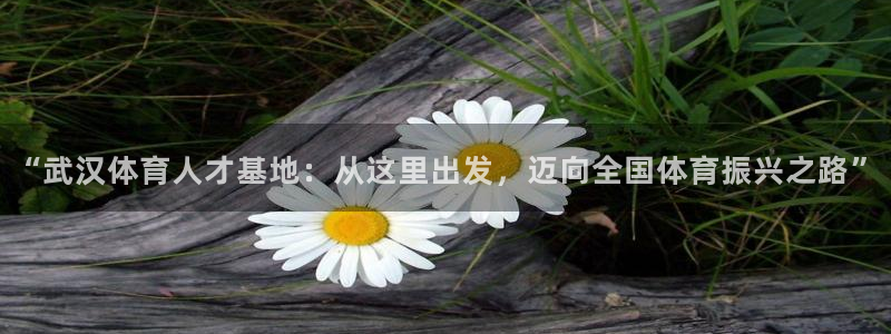 oety欧亿体育官网下载平台是正规平台吗：“武汉体育人才基地