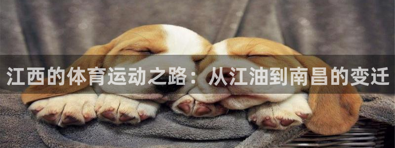 oety欧亿体育官网下载平台注册流程图：江西的体育运