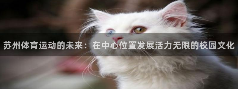 oety欧亿体育官网下载招商电话号码