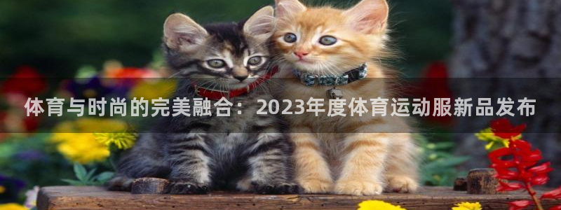 oety欧亿体育官网下载：体育与时尚的完美融合：20