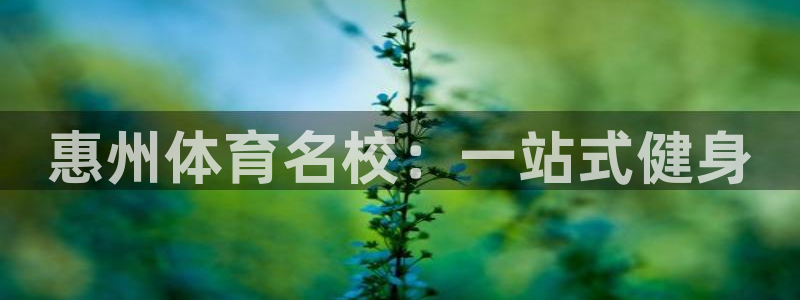 oety欧亿体育官网下载招商电话是多少