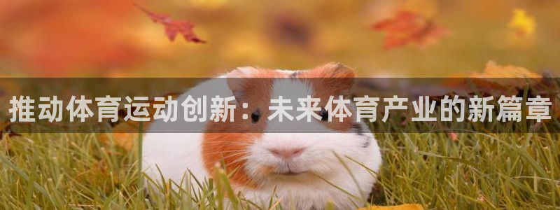 oety欧亿体育官网下载平台假的吗是真的吗吗：推动体育运动创