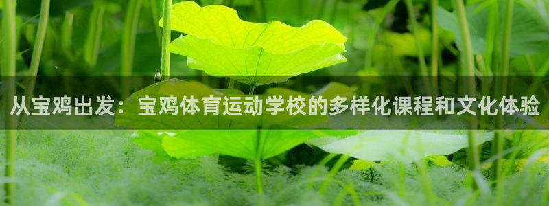 oety欧亿体育官网下载是干嘛的公司