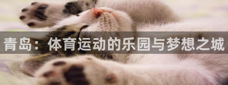 欧亿体育官方正版app娱乐下载