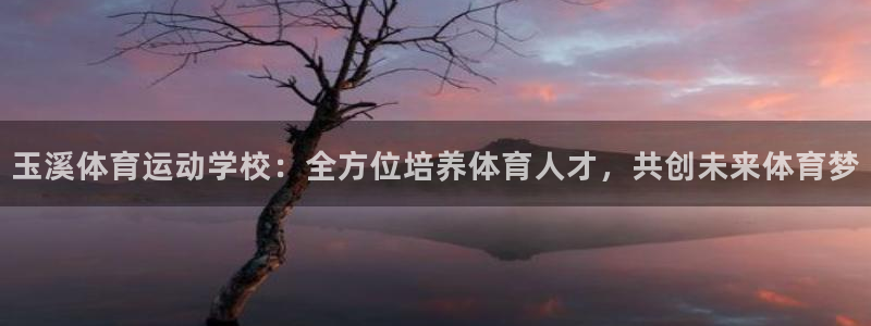oety欧亿体育官网下载平台注册流程图