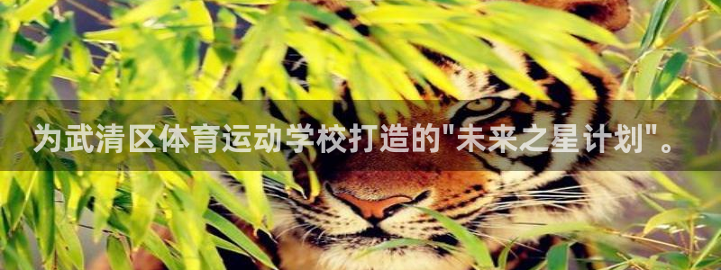 欧亿体育官方集团官网