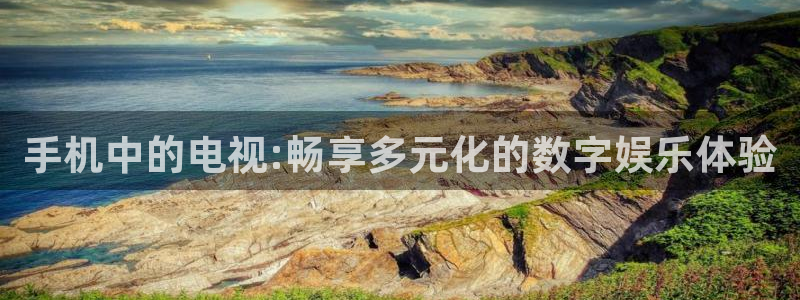 五星体育f1直播在哪看：手机中的电视:畅享多元化的数字娱乐体验