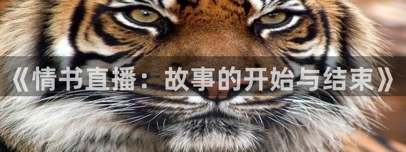 五星体育频道节目预告：《情书直播：故事的开始与结束》