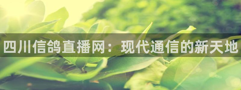 上海五星体育直播app下载：四川信鸽直播网：现代通信的新天地