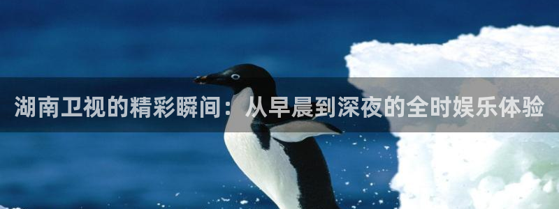 上海五星体育频道在线直播观看超清：湖南卫视的精彩瞬间：从早晨到深夜的全时娱乐体验
