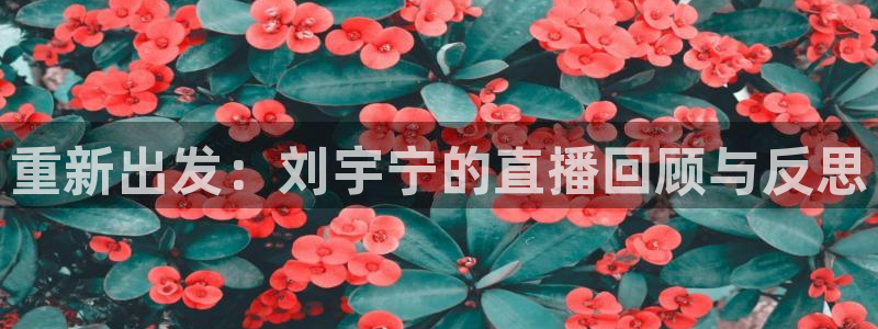 2024f1卡塔尔大奖赛五星体育：重新出发：刘宇宁的直播回顾与反思