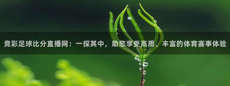上海五星体育手机免费直播：竞彩足球比分直播网：一探其中，助您享受高质、丰富的体育赛事体验