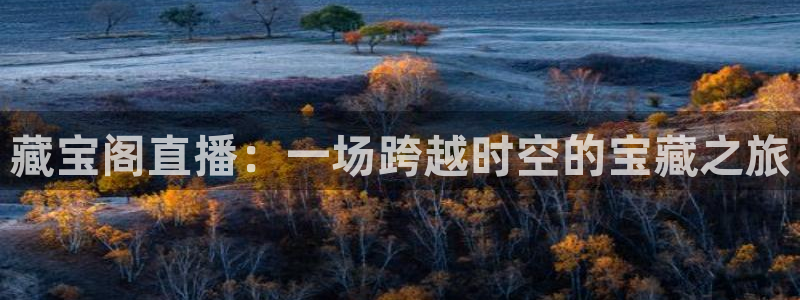 五星体育在哪里：藏宝阁直播：一场跨越时空的宝藏之旅