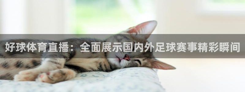 上海五星体育直播在线观看：好球体育直播：全面展示国内外足球赛事精彩瞬间
