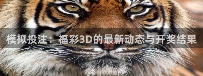 上海五星体育直播入口：模拟投注：福彩3D的最新动态与开奖结果