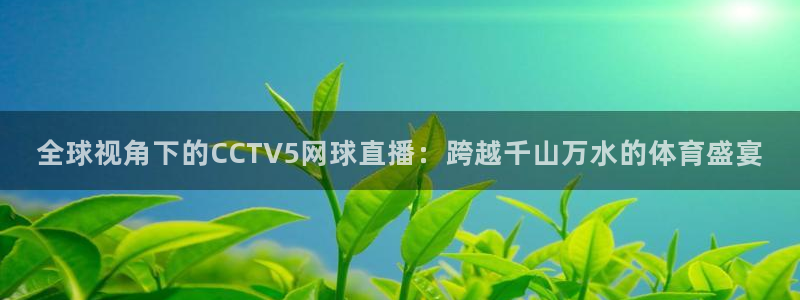 五星体育 直播：全球视角下的CCTV5网球直播：跨越千山万水的体育盛宴