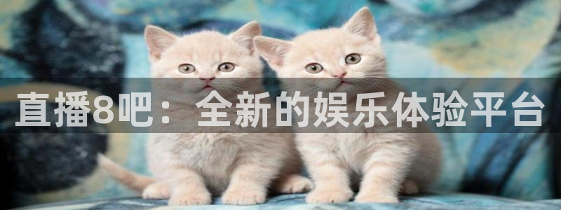上海五星体育男主持人：直播8吧：全新的娱乐体验平台